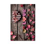 Mijölnir Juego de alfombrillas de baño Kt427 Multicolor